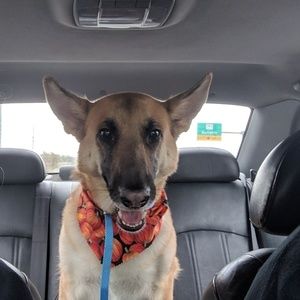 Meet your Posher, Danica